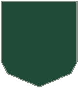 Schematic company badge; pattern described below.